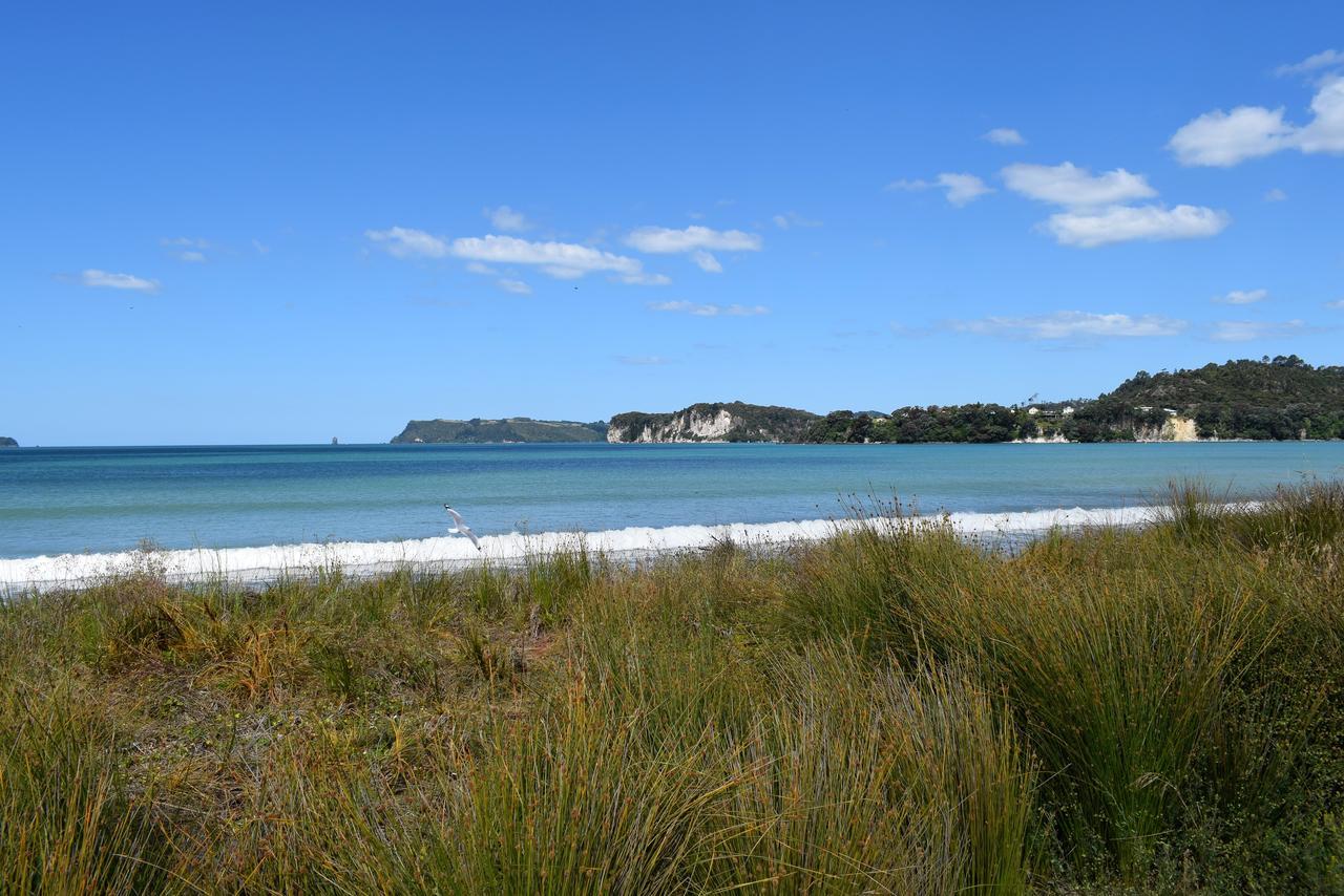 Paradise In Whitianga B&B Wells Place Dış mekan fotoğraf